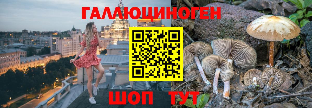что такое наркотик  Вход с VPN  Галлюциногенные грибы мухоморы  Урус-Мартан  Псилоцибиновые грибы мицелий 